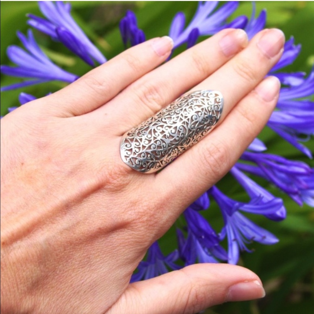 Silver Beauty! - Picture 2 of 2